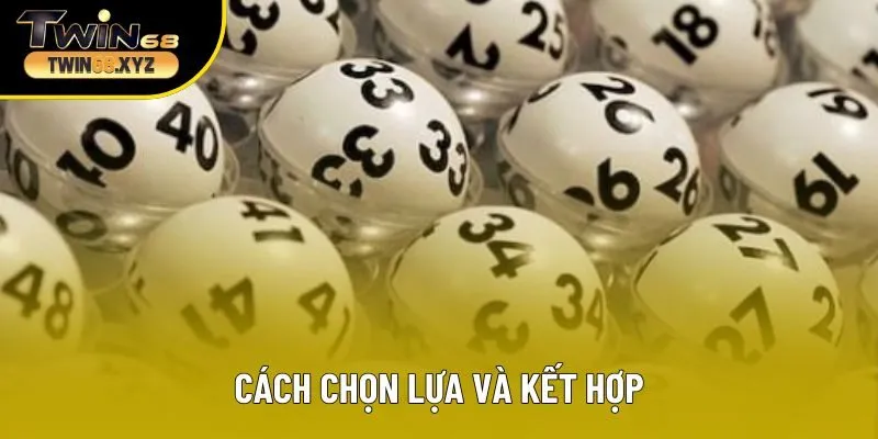 Cách chọn lựa và kết hợp