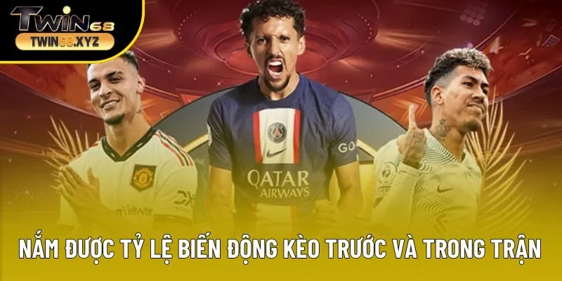 Nắm được tỷ lệ biến động kèo trước và trong trận