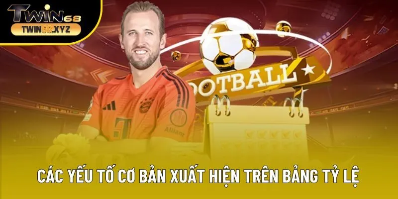 Các yếu tố cơ bản xuất hiện trên bảng tỷ lệ