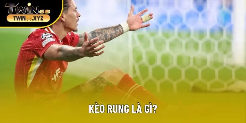 Định nghĩa về kèo rung