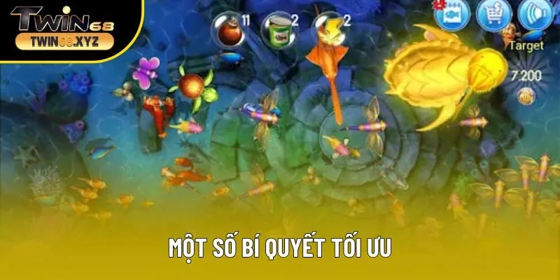 Một số bí quyết tối ưu